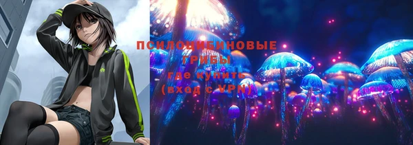 дживик Абаза